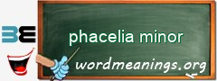WordMeaning blackboard for phacelia minor